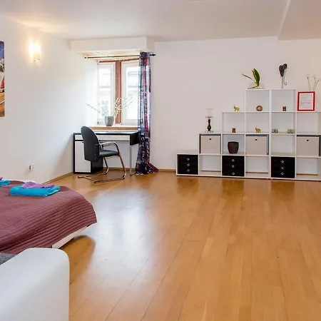 Gorazdova 11 Apartment