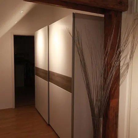 Apartament Gorazdova 11 *